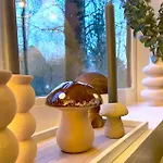 شاليه Het Hulstje 1 *