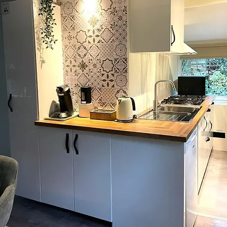 Chalet Het Hulstje 1