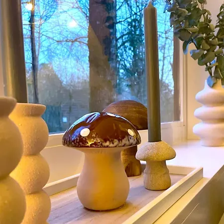 Chalet Het Hulstje 1 *