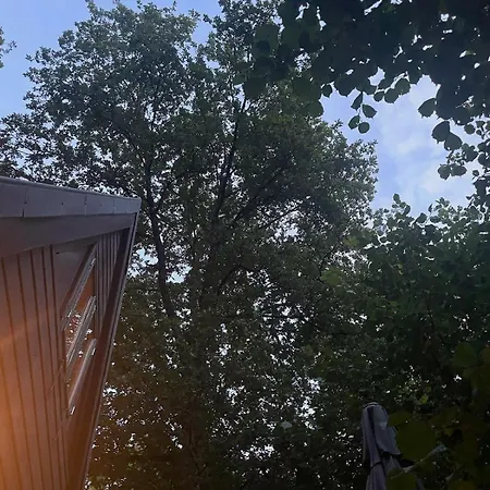 Het Hulstje 1 Chalet